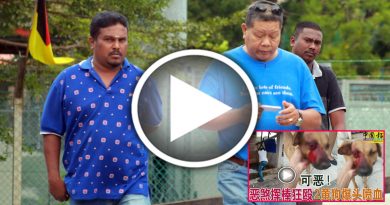 持棍狂殴狗儿至重伤  青年不认罪