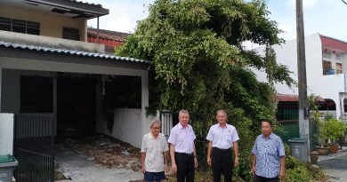 空屋屋檐长大树 引来蛇鼠‧困扰邻居