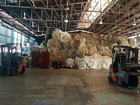 洋垃圾厂还在操作 市会主席怒令本月内搬空