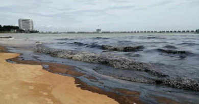 ◤ 波海滩现污油 ◢ 疑船只漏油肇祸   波德申丹绒端出现“黑沙滩”
