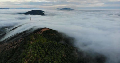 ◤复管令SOP◢严防病毒 泰梳山8日起封山