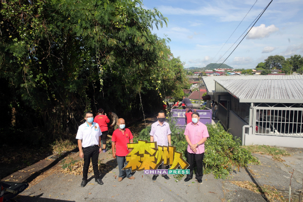 李汉强（左起）、刘天财、谢琪清和黄新发巡视亚沙新村乡委会团队砍修树木工作。