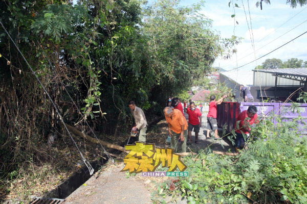 亚沙新村乡委会团队合力展开砍修树木工作。