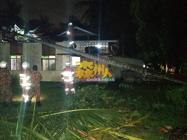 30尺高的椰树在狂风暴雨中倒下，压毁民宅的厨房及睡房。