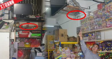 ◤文丁窃案频频◢才平静了4天 文丁又见贼踪