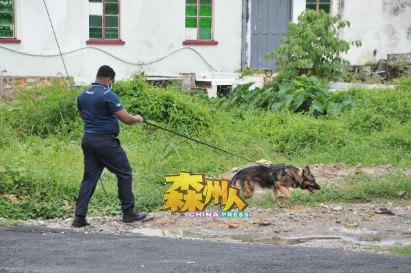 警方出动警犬在案发店屋附近展开搜查。
