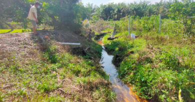 溪水污染臭气熏天 无良商家污油倒油棕芭