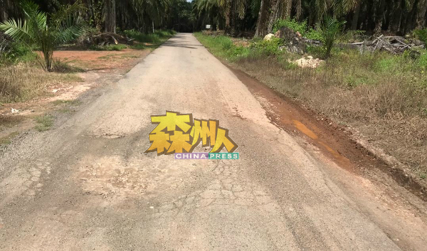 近期当地很多树胶芭已经开始进入翻种油棕芭阶段，此举导致很多罗厘进出榕吉新村，同时也造成当地村内道路受到严重破坏。