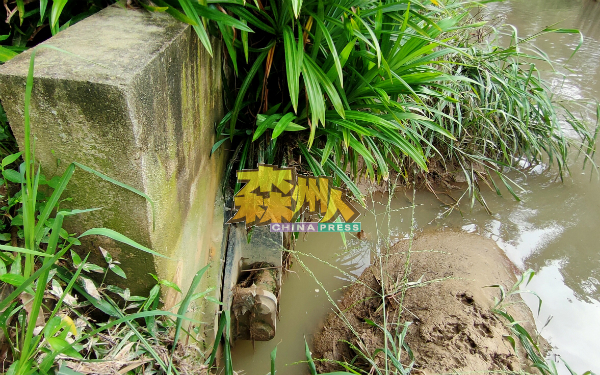 丹A兰拜河河水是通过地下水涵盖口的隙缝倒流到民宅。