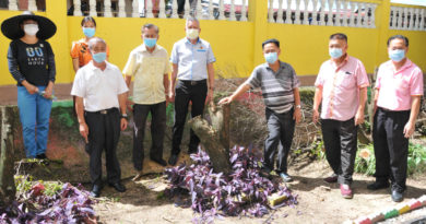 叶耀荣拨款 砍除万茂华小11棵枯树
