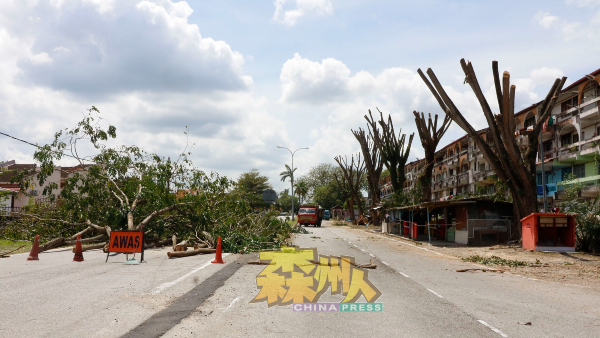 亚沙再也花园砍树进展已进入70%，叶耀荣应选民要求，将会见芙蓉市政局景观组主任了解重新植树计划。 