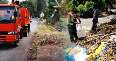 本报报导获回响 耀龙园大阳镇路边垃圾清空了
