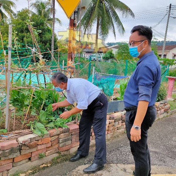 周世扬（左）与吴勇汉（右）亲自到仙水乡了解居民种植蔬菜被破坏的情况。
