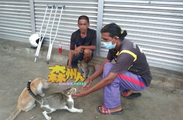 祖利（右）与莫哈末几乎每天在老港街头喂养流浪猫。