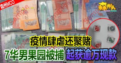 ◤森州MCO◢疫情肆虐还聚赌 7华男果园被捕起获逾万现款