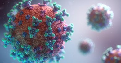 ◤森州疫情◢森单日确诊略下降 682宗病例  10人病逝