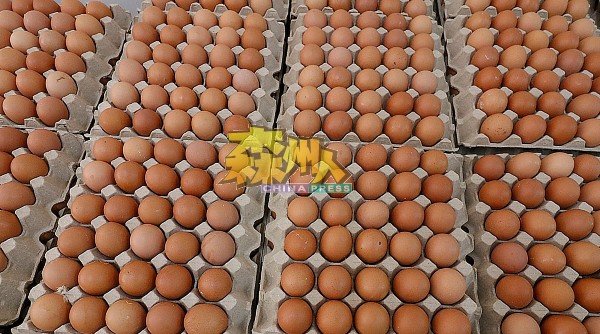 由于蛋农减少鸡蛋产量，饲料及鸡蛋托价格上涨，加上芙蓉县强化管制令及食物银行与分派物资，鸡蛋需求激增，最终导致鸡蛋价格走涨。