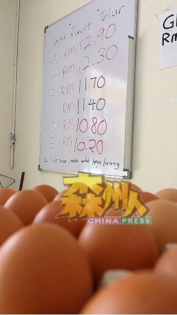 个等级鸡蛋价格上涨，近期消费者只能吃贵蛋。
