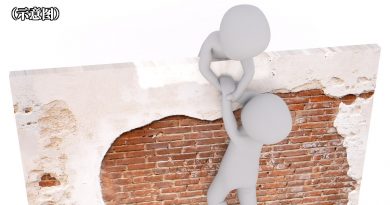 ◤复苏计划◢疫情影响会员陷困 淡边普罗士邦乡团伸援手
