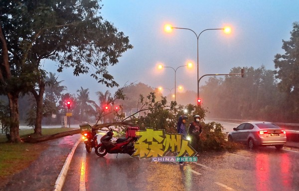 2名送餐员冒雨在树倒现场亮起手机灯光指挥交通。