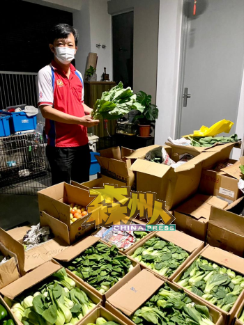 赞助商赞助500公斤金马仑各类蔬菜，交由谢琪清及团队派发给芙蓉居民。
