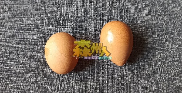 异形鸡蛋的体积与一般鸡蛋不相上下。