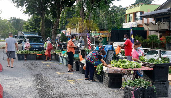 早市的蔬菜区十分受欢迎，许多熟客开始“回流”，在早市买菜。