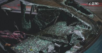 单亲妈妈车祸逝世 保险公司以没申报病例拒赔