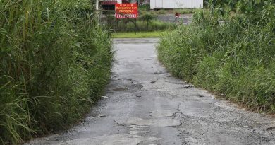嘉乐通邓普勒轻工业区 拟提升为双车道新路