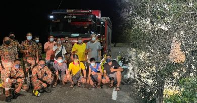 虎头蜂巢挂树上 消拯员一把火灭了