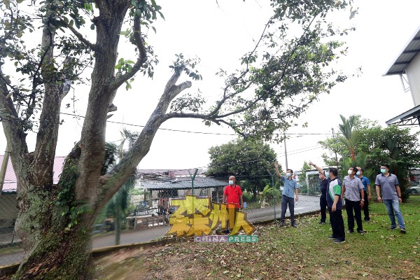 董家教命人砍修危树，与学校毗连被迫承受危树压力的民宅村民，终于放下长达8年的倒树担忧，左2是谢琪清。