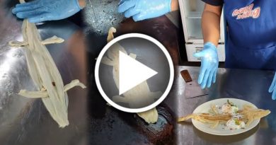 四脚蛇煎饼 你试过吗？就在森州庇劳