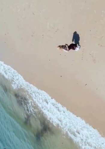 莫哈末查希鲁丁为把沙滩与海水摄入镜头，在第2次抛手机时才达到效果。