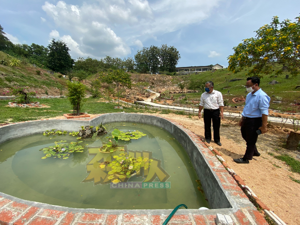 除了种植百花种类的花树，义山美化小组也打造水池种植荷花，右起为芙蓉市议员吴勇汉及周世扬。
