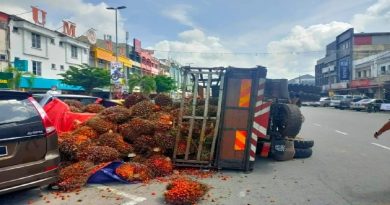 罗厘大街翻覆 油棕果砸中3辆车