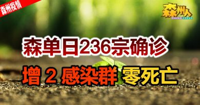 ◤森州疫情◢ 森单日236宗确诊 增 2 感染群 零死亡