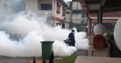 基孔肯雅症袭老港 逾3O居民被毒蚊“叮”上