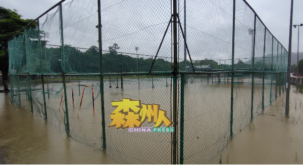 马口市区的足球场被洪水淹没。