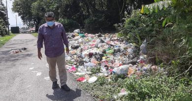 村民贪方便乱丢焚烧 路旁垃圾堆积污染环境