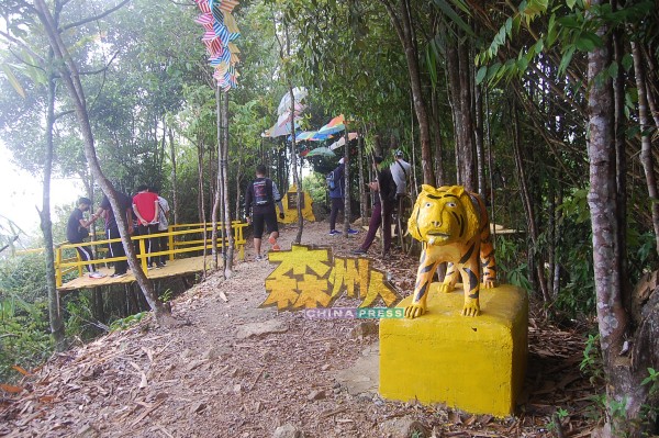 马口泰梳山早年听过有老虎出现，今辟为旅游景点，义工为吸引旅客，做了一个假老虎点缀景点。