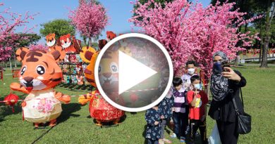 ◤虎跃新程◢欢乐虎．威力虎．卡通虎齐集 S2 City Park等您来打卡