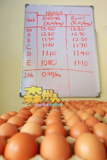 农历新年前出现短暂缺蛋问题，主要是当时很多人要制作农历新年的年饼、糕点，需要用到大量的鸡蛋而致。