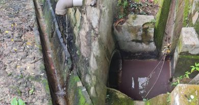 湖滨公园排水沟排出红色水 是清洗玫瑰红糖饮料桶所致