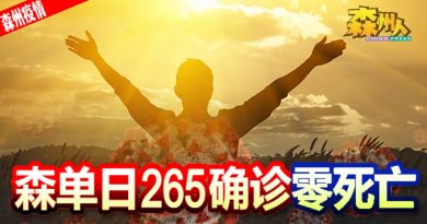 ◤森州疫情◢森单日265确诊 零死亡