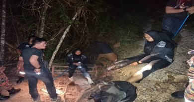 登安西山迷路 2男女获消拯队相救　