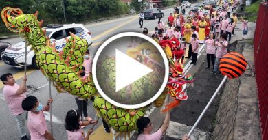 华人文化节火炬行汝来站 逾400人上街传承文化