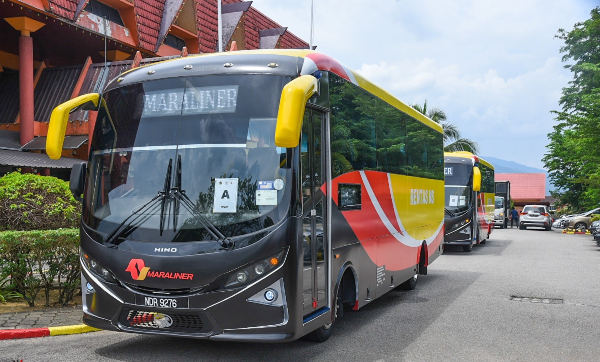 共有8辆中型巴士在林茂县及淡边县川行。