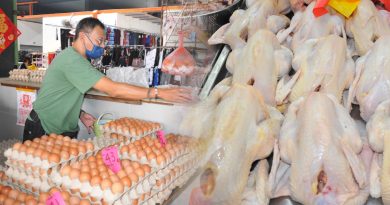 民众在涨价前已囤货 鸡蛋肉鸡市场淡静
