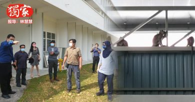 【森州人头条】猴群闯校撒野觅食 丘晒园华小师生喊救命！