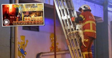 消拯员出动云梯灌救 在店屋楼上救获1只狗